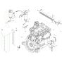 Fuel Filter Assembly