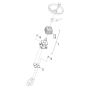 Steering Column Assembly