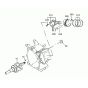 Crankshaft & Piston Assembly