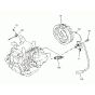 Ignition Assembly for Wacker