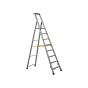 Trade Platform Step Height 1.7m 8 Rungs