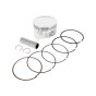 Piston Set for Stihl - OEM No. 0002 007 1009