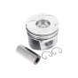 Piston 100mm for Hatz 1D81, 1D81C Engine - OEM No. 01313542