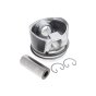 Piston 100mm for Hatz 1D81, 1D81C Engine - OEM No. 01313542