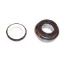 Mechanical Seal Kit Fits Daishin/Hilta SCR50 ("2) Pump