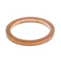 Seal for Wacker RD27 Roller - OEM No. 0161393