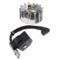 Ignition Electronic Cpl for Makita PS34 Chainsaw