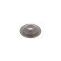 Spring Plate for Hatz 1B40, 1B50 Engines -OEM No. 04147001