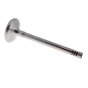 Inlet Valve for Hatz 1B20 Engines - 05053201