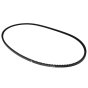 Belt for Bomag BW71 Roller - OEM No. 06312015