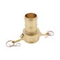 2" Type C Camlock X Hosetail Brass