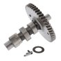 Camshaft Assembly With Compr.Rel for Lombardini 15LD 225 Engines - 1011.730