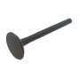Exhaust Valve L48 - Genuine Yanmar No. 114250 11113