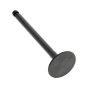 Valve Exhaust for Yanmar 2TNE68, 3TNE68 Engines - 119260-11110