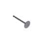 Valve-Intake for Kawasaki Engines
