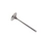 Valve-Intake for Kawasaki FH601D, FH601V, FH641D Engines - 120047002