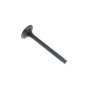 Valve Exhaust for Kawasaki FE290D Engines - OEM No. 120052077