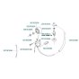 Ignition System for Husqvarna 155 BT