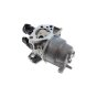Carburettor Assembly for Honda GX390RT2 Engine - OEM No. 16100-Z5T-U86
