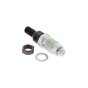Injector for Yanmar 2TE67L-BV, 2TE67L-FW Engine - OEM No. 165000-47980