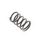 Spring Valve for Kohler ECH440, CH395, CH440 Engine - 17 089 52-S