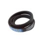 Strap for Loncin LC750 Tillers - OEM No. 193000018-0001