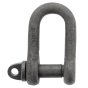 Alloy Steel D Lifting Shackles