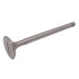 Valve Inlet/Exhaust to suit Lister Diesel Engines - 201 19360