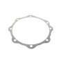 Shim .010" for Lister Petter ST1 Engine - OEM No. 201-80114