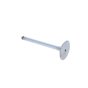 Inlet Valve for Lister Petter TS1 Engine - OEM No. 201-30040