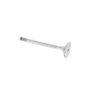 Exhaust Valve for Lister Petter TS1 Engine - OEM No. 201-30051
