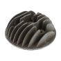 Cylinder Head for Jap Models 80 & JS8 Engines - 20459