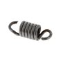 Spring 10.7.225 Clutch for Belle Machine - 21/0360