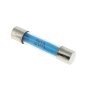 20 AMP Glass Auto Fuse - Sold Individually