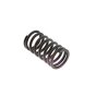 Exhaust Valve Spring for Kohler K241 Engines - OEM No. 235010-S