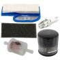 Maintenance Kit for Kawasaki FH451V, FH500V Engines