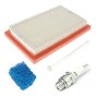 Maintenance Kit for Kohler XT149, XT650, XT675, XT775, XT800 Engines