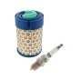 Maintenance Kit for Kohler CH270 Engines