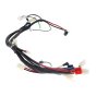 Wire Harness for Loncin G3500i-LE Generator - OEM No. 272040142-0001