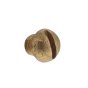 Screw for Villiers B1016 Carburettor on 125cc/150cc Engines - OEM No. 28271