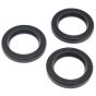 Oil Seal Kit for Interpump Pressure Washers - KIT 2