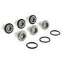 Intake Delivery Valve Kit for Interpump EH1413, EH1416 Pump - KIT123