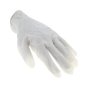 Latex Lightly Powdered Disposable Gloves Size 11 XL 100 Pack