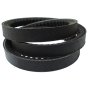 V Belt (Petrol Engine) Fits Clipper Major EDW - XPZ1562