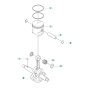 Crankshaft Assembly for 350BF