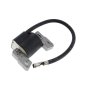 Ignition Coil Module for Briggs & Stratton 120502, 120T02 Engines - Replaces 799382