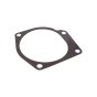 Water Pump Gasket for Perkins 4.203 Engine - OEM No. 3687M016