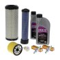 Service Kit for Kawasaki FX921V, FX1000V Engines - 400 430