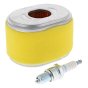 Service Kit for Honda GX140, GX160, GX200 Engines - 400 452