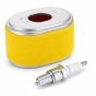 Service Kit for Honda GX140, GX160, GX200 Engines - 400 452